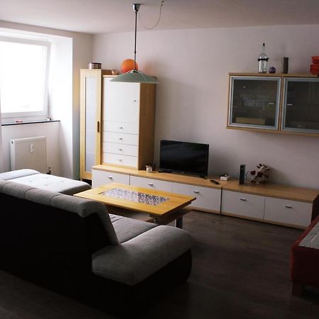 Full Flat 3 Bedrooms Saarbrucken Center -11 People Kültér fotó